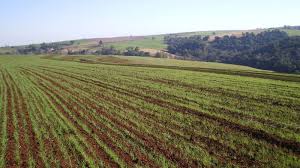 Diagnóstico da lavoura evita problemas de compactação do solo