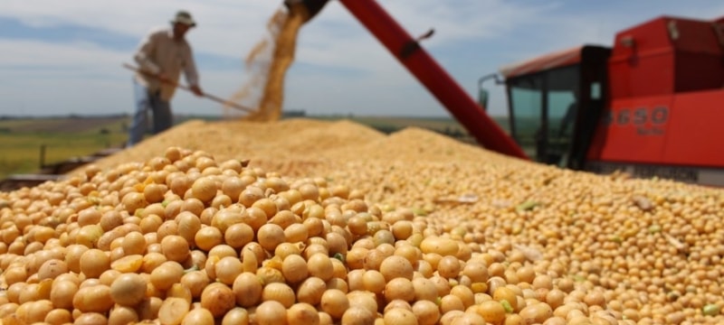 Agronegócio gaúcho cria mais de 6 mil empregos formais no primeiro semestre de 2017