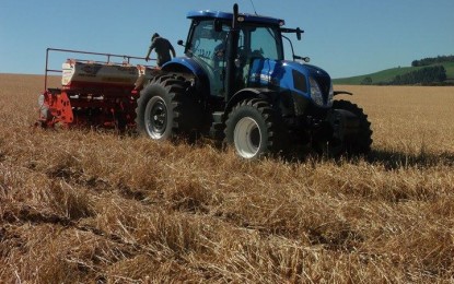 Agricultores iniciam a semeadura da cultura do milho na região Celeiro.