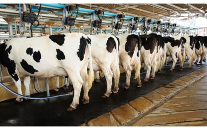 Custo de produção do leite sobe 9,4% em fevereiro
