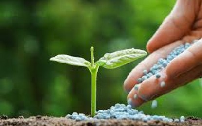 Entregas de fertilizantes crescem 3,4% em agosto