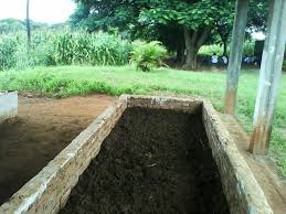 Como produzir minhocas e húmus em pequenas propriedades