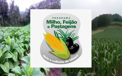 Programa que incentiva diversificação será renovado nos três Estados do Sul