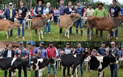 Chiapetta, Concurso da Melhor Terneira valoriza os produtores locais