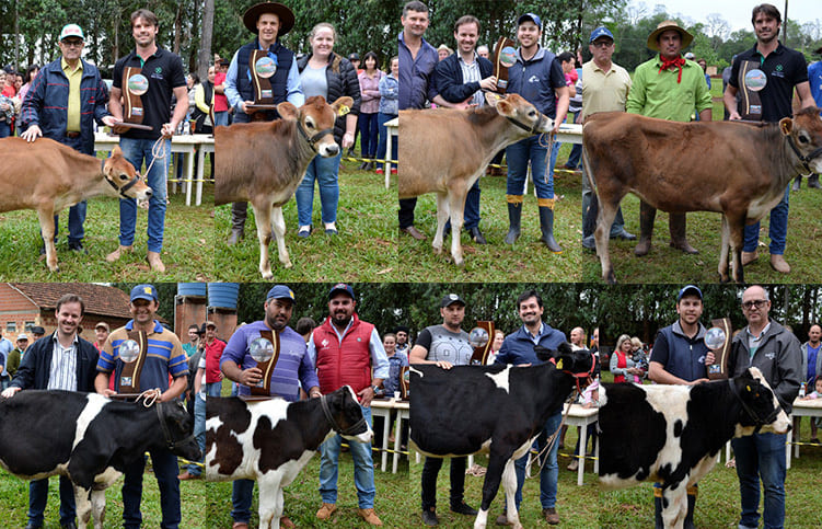 Chiapetta, Concurso da Melhor Terneira valoriza os produtores locais