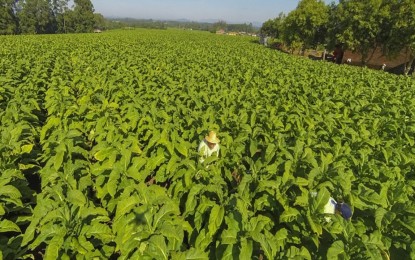 Delegações de 22 países participam de evento mundial sobre tabaco em Santa Cruz do Sul
