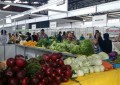 Pavilhão da Agroindústria na Hortigranjeiros é atração principal da feira em Santa Rosa