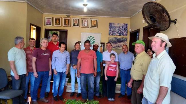 Coronel Bicaco, iniciativa incentiva agricultores a plantar erva mate