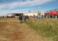 Cereais de Inverno é tema de dia de campo em Campo Novo