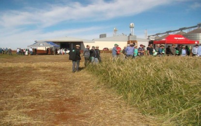 Cereais de Inverno é tema de dia de campo em Campo Novo