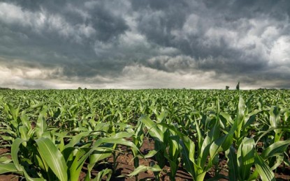 Tempo seco e quente dará lugar a chuvas fortes nos próximos sete dias
