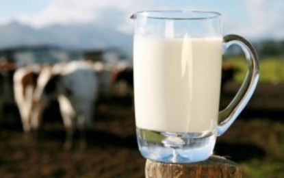 Preço do leite no Rio Grande do Sul cai em agosto