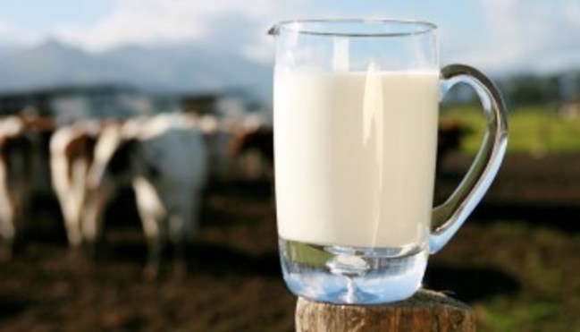 Preço do leite teve queda nos primeiros dez dias do mês, mas tendência é de recuperação