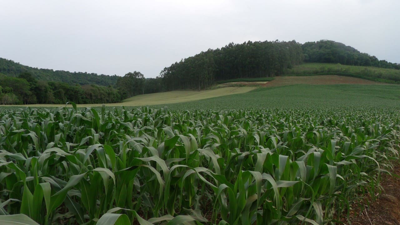 Previsões climaticas, para o começo do ano 2018 e efeitos na agricultura