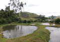 Tiradentes do Sul, Atividade piscicultura