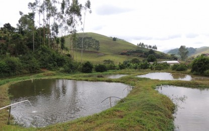 Agroindústria de abate de peixe da região Celeiro recebe visitantes