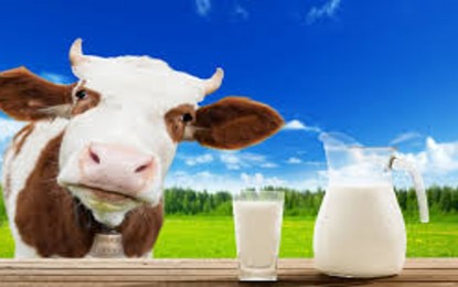 Brasil suspende importação de leite do Uruguai