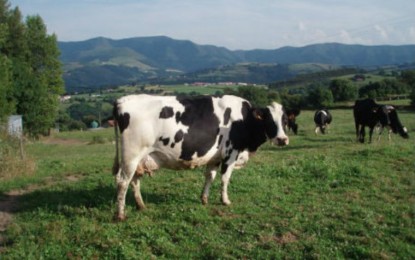 Barra do Guarita: Campanha Melhor Renda, incentiva produtores de leite do município