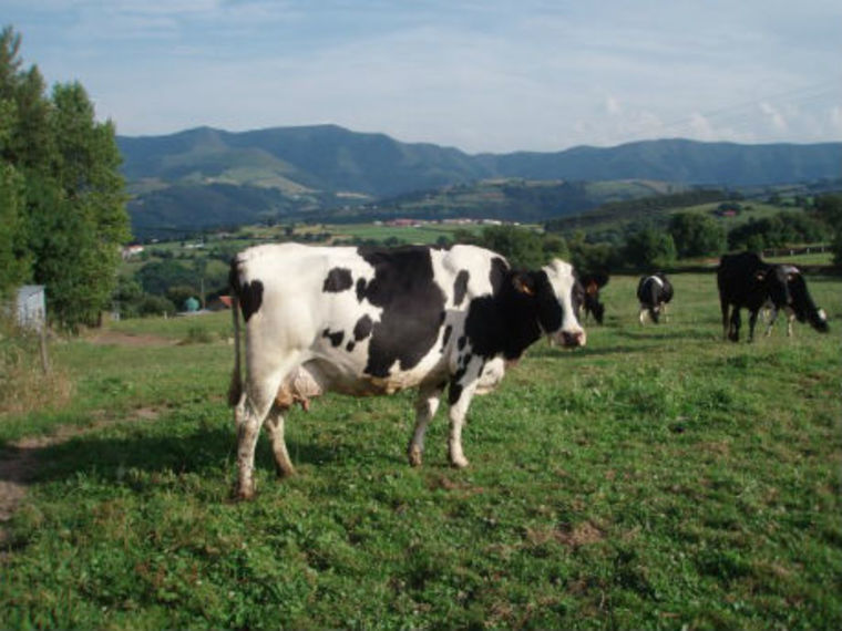 Barra do Guarita: Campanha Melhor Renda, incentiva produtores de leite do município