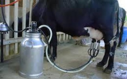 Produtores de leite reivindicam regulamentação definitiva das importações