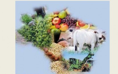 Aprovado projeto que garante pagamento de preço mínimo para produtos agropecuários