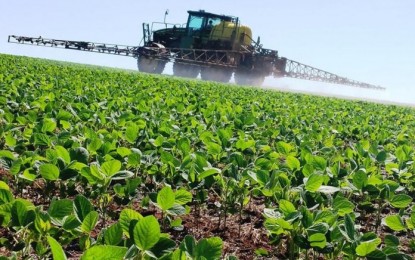 ANVISA autoriza uso do paraquat por mais três anos