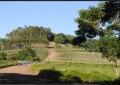 Vista Gaúcha 1º passeio ciclístico rural foi um sucesso