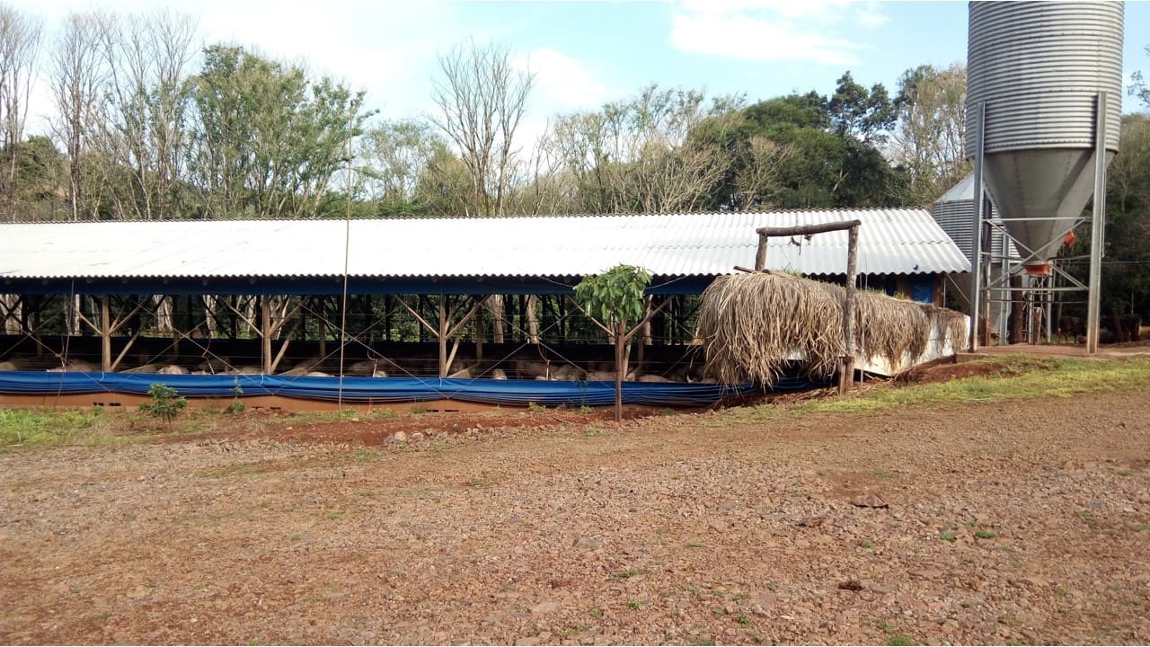 Metodologia de remuneração dos produtores integrados em debate