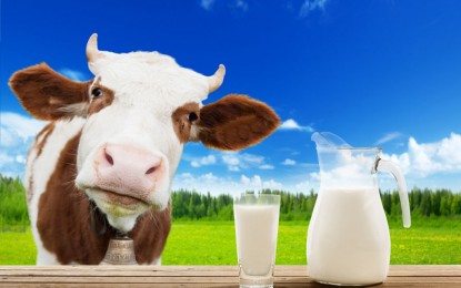 Quase 25 mil produtores abandonam atividade leiteira no RS em um ano
