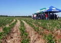 Dia de Campo de Conservação de Solo e de Água é realizado em Três de Maio