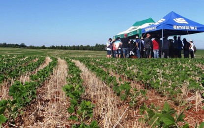 Dia de Campo de Conservação de Solo e de Água é realizado em Três de Maio