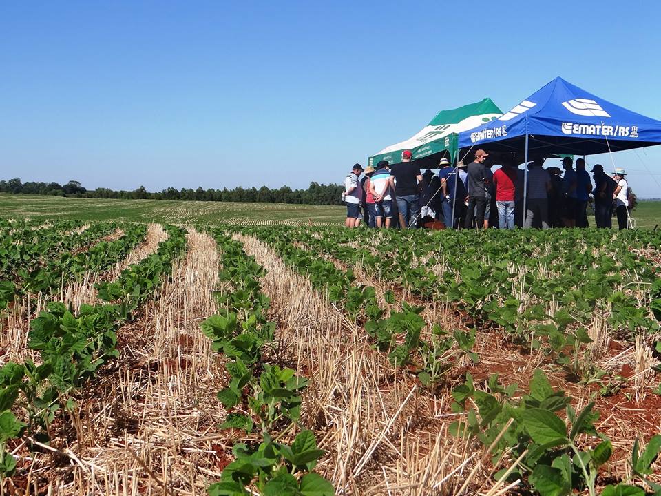 Dia de Campo de Conservação de Solo e de Água é realizado em Três de Maio