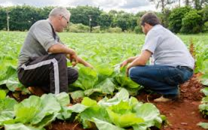 Anater faz balanço das ações em 2017