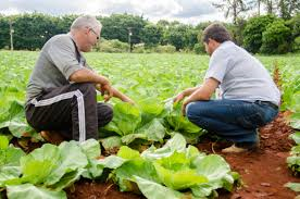 Anater faz balanço das ações em 2017