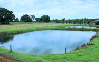 Dicas de piscicultura