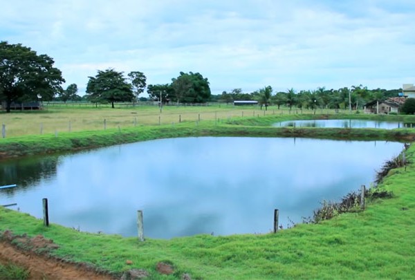 Aquicultores querem atividade ligada integralmente ao Mapa