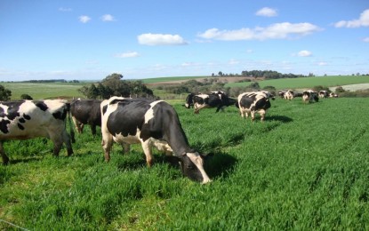 Preço do leite: Expectativa é que os valores pagos aos produtores subam