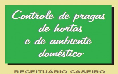 Veja receitas de produtos naturais para evitar pragas em hortas