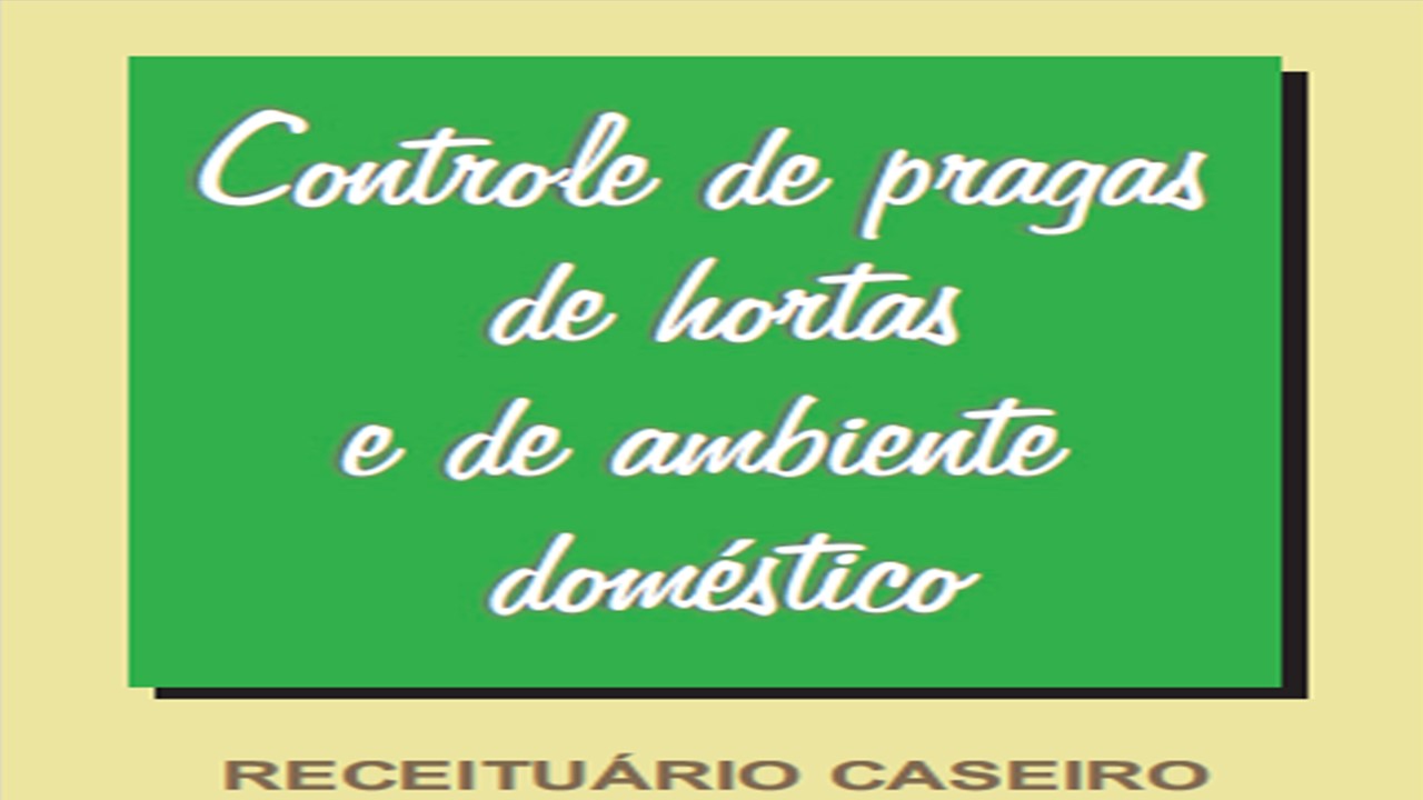 Veja receitas de produtos naturais para evitar pragas em hortas