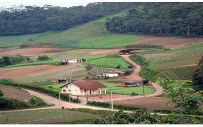 Publicado regulamento para o financiamento de compra de terras para agricultores familiares