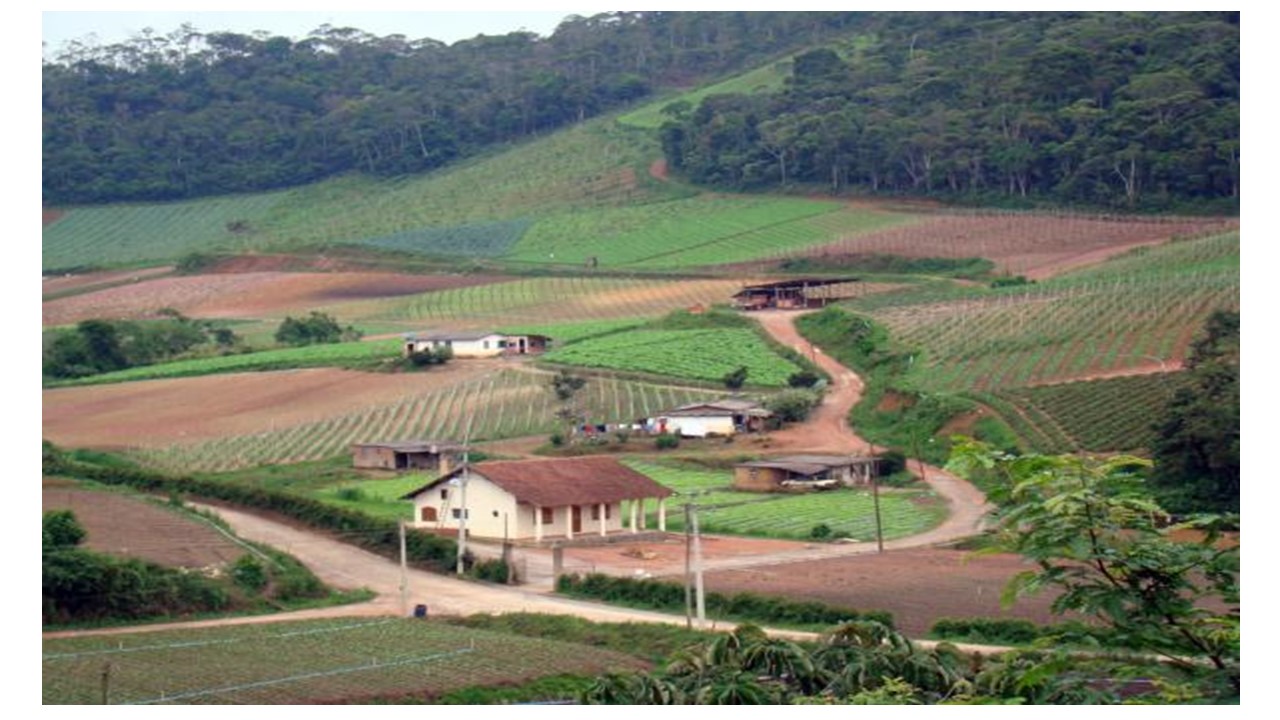 Agricultura: Um dos setores de produção mais importante do Brasil exige redução de juros para financiar produção