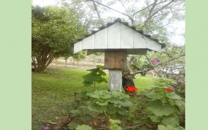 Como fazer isca para capturar enxames de abelhas Jatai