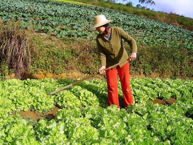Câmara aprova socorro para agricultura familiar de até R$ 3 mil