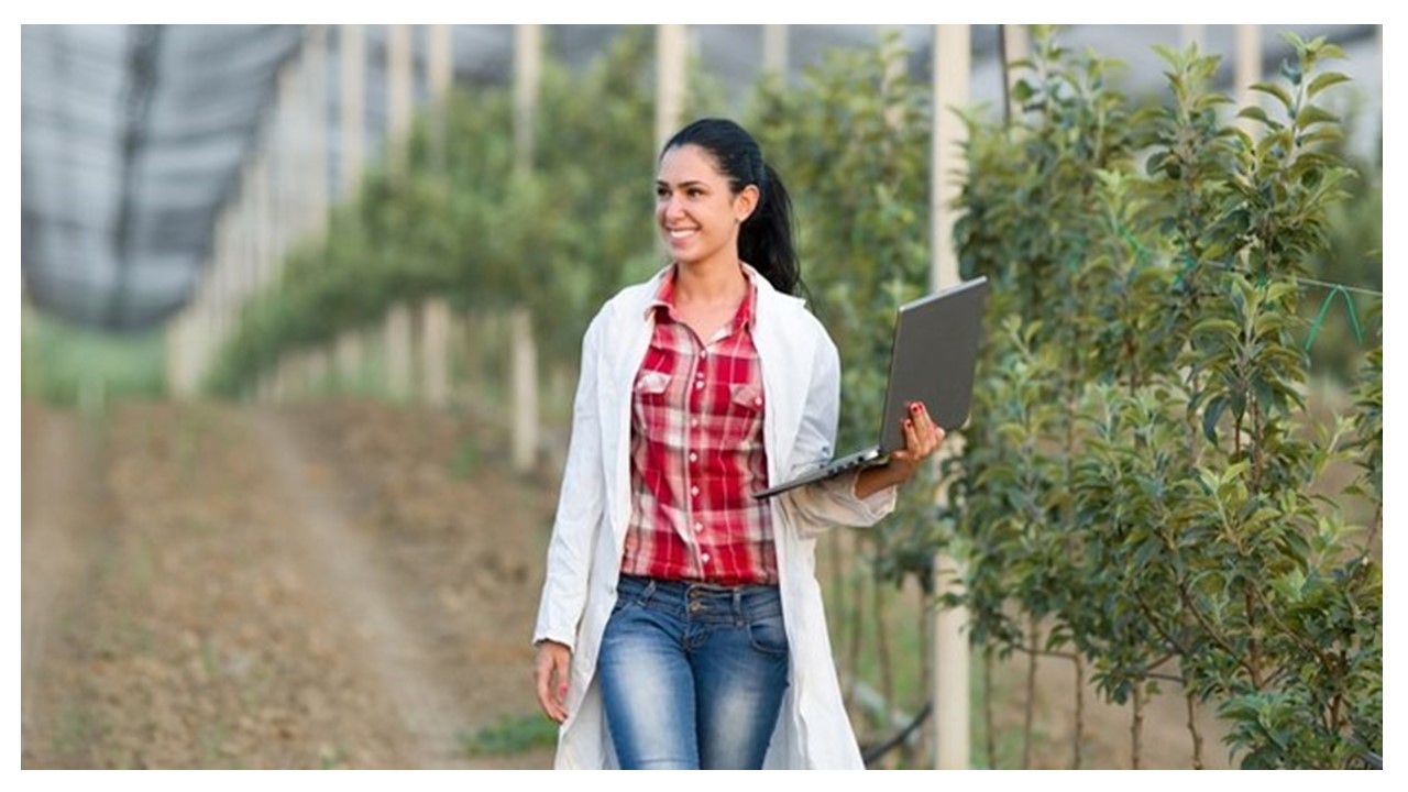 Agricultura familiar: saiba como inovar e expandir seu negócio