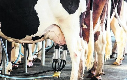 Produção de leite deve crescer em 2018