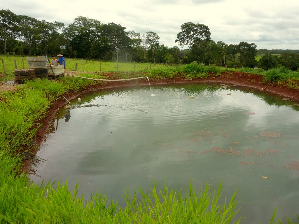 Piscicultura brasileira cresce 8% no ultimo ano
