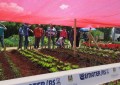 Horticultura é destaque na Expoagro 2018
