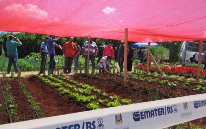 Horticultura é destaque na Expoagro 2018