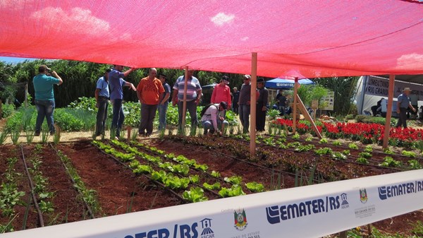 Horticultura é destaque na Expoagro 2018