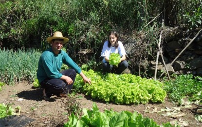 Programa  Incentiva Jovens do Meio Rural